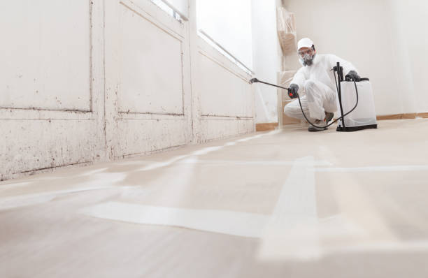 24/7 Emergency Mold Remediation experts in Lexington, VA